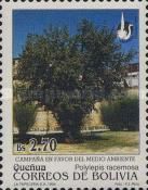 Polylepis racemosa