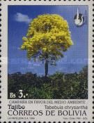 Tabebuia chrysantha