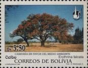 Erythrina falcata