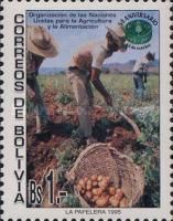 Potato harvest