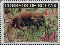 Coypu (Myocastor coypus)
