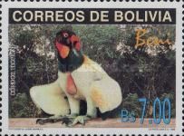 King vulture (Sarcoramphus papa)