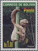 Brown-throated Three-toed Sloth (Bradypus variegatus)