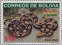 Sicuri (Boa)