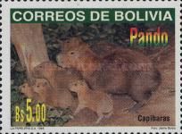 Greater Capybara (Hydrochoerus hydrochaeris) - family