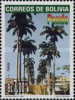 Cobija - Palm Trees