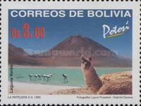 Green Lagoon (4000m), guanaco, flamingos