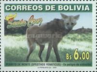 Maned Wolf (Chrysocyon brachyurus)