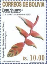 National flower-Heliconia rostrata
