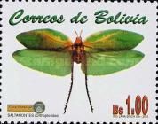 (Orthopteridae)