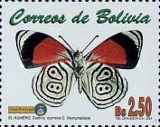 Cramer's Eight-eight (Diaethria clymena)