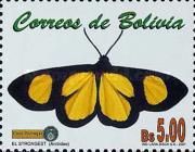 Tiger Moth (Arctiidae)