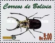 Stag Beetle (Lucanus sp.)
