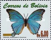 Godart's Morpho (Morpho godarti)