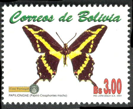 Giant Swallowtail (Papilio cresphontes)