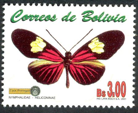 Heliconius Butterfly (Heliconia sp.)