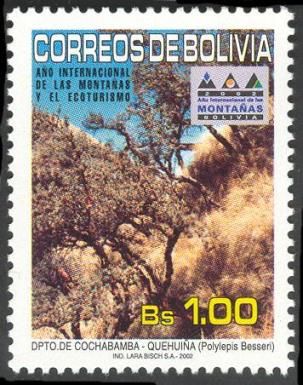 Polylepis besseri