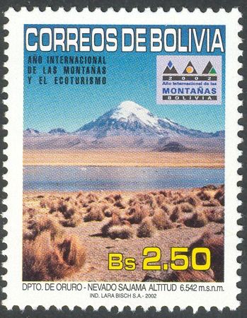 Mount Sajama (6542m)