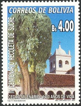 Millenial Cedar and Belltower of Monastery