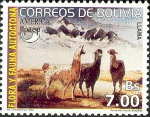Llama (Lama guanicoe glama)