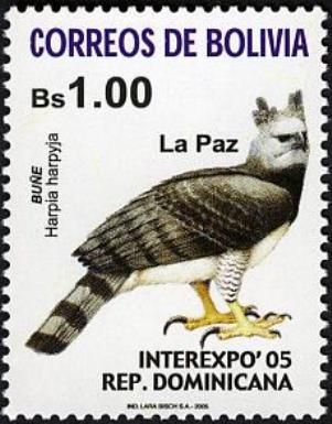 Harpy Eagle (Harpia harpyja)