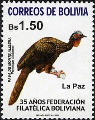 Red-faced Guan (Penelope dabbenei)