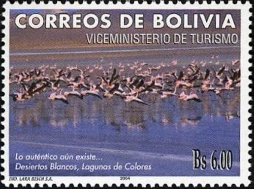 Salar de Uyuni, James's Flamigo (Phoenicoparrus jamesi)