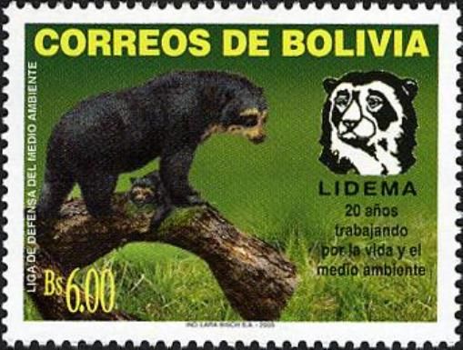 Spectacled Bear (Tremarctos ornatus)