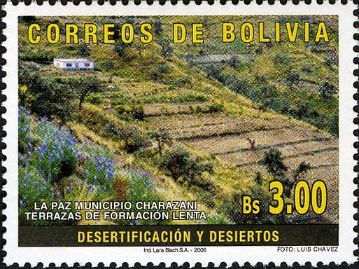 Slow Forming Terraces in Charazani Village