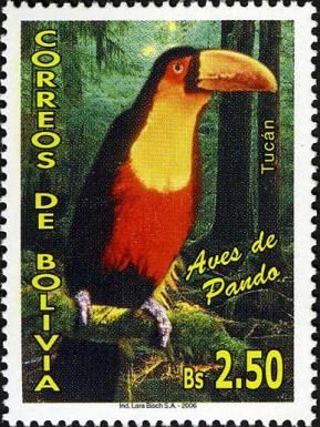 Red-breasted Toucan (Ramphastos dicolorus)
