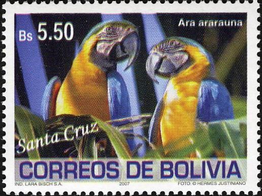 Blue-and-yellow Macaw (Ara ararauna)