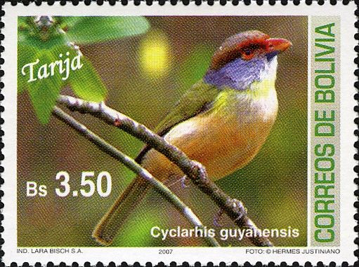 Rufous-browed Peppershrike (Cyclarhis gujanensis)
