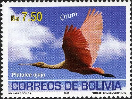Roseate Spoonbill (Platalea ajaja)