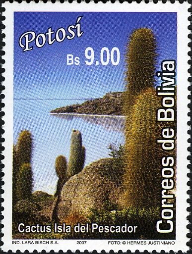 Cactus on Fisherman´s Island