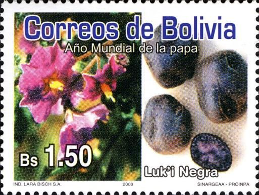 Luk´i Negra and its Blossom
