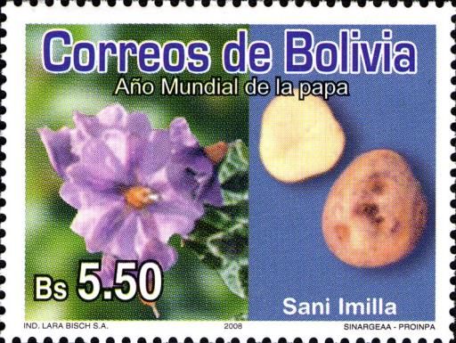 Sani Imilla and its Blossom