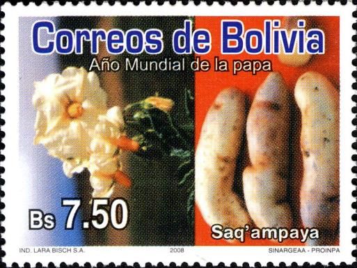 Saq´ampaya and its Blossom