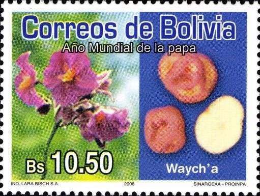 Waych´a and its Blossom