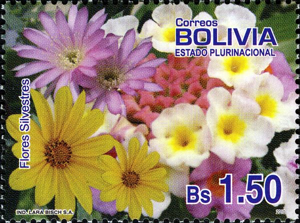 Wild Flowers
