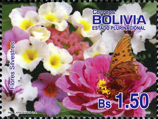 Wild Flowers and Butterfly