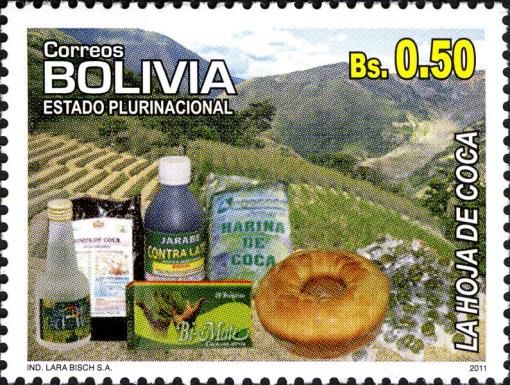 Coca Plantation and Products