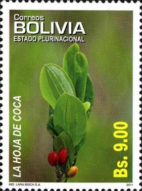 Coca Leaf