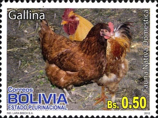 Chicken (Gallus gallus domesticus)
