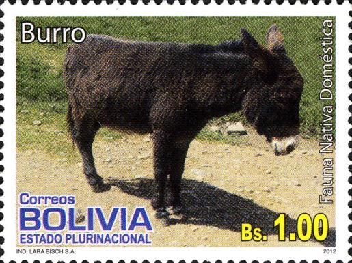 Donkey (Equus asinus asinus)