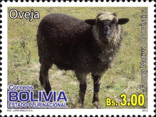 Sheep (Ovis ammon aries)