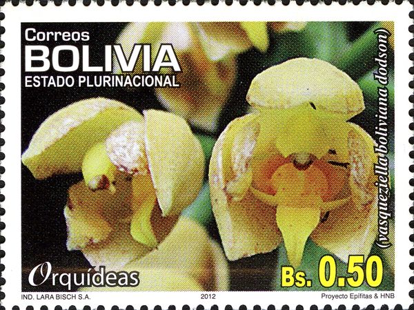 Vasqueziella boliviana