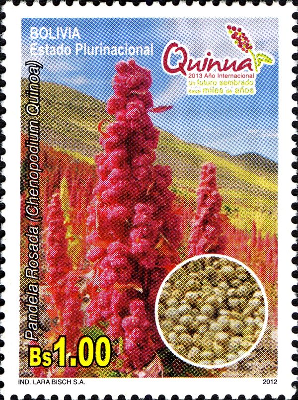 Quinoa Flowers