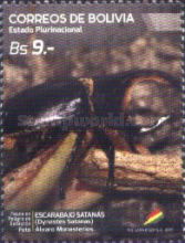 Satanas Beetle (Dynastes satanas)