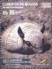 Andean Hairy Armadillo (Chaetophractus nationi)