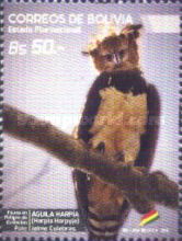 Harpy Eagle (Harpia harpyja)